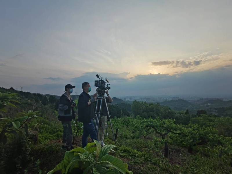 创意破圈！连山区电商产品宣传视频用故事化叙事引爆流量
