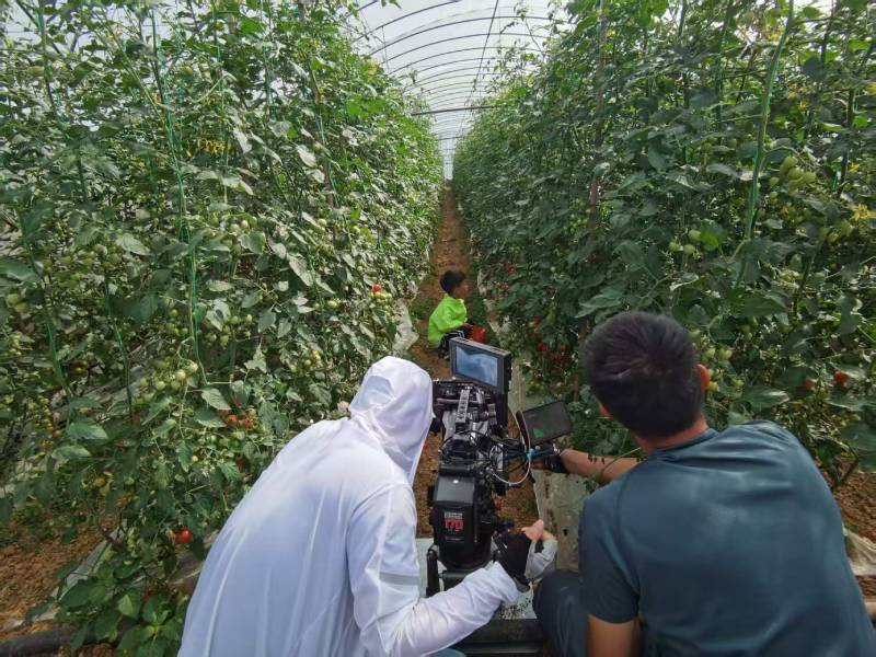 连山区产品宣传视频拍摄公司进阶指南，助力品牌抢占传播高地